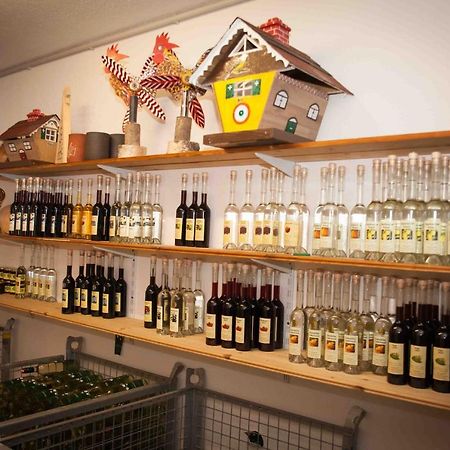 Weinbau Pronegg Vlg. Krainz Διαμέρισμα Leutschach Εξωτερικό φωτογραφία