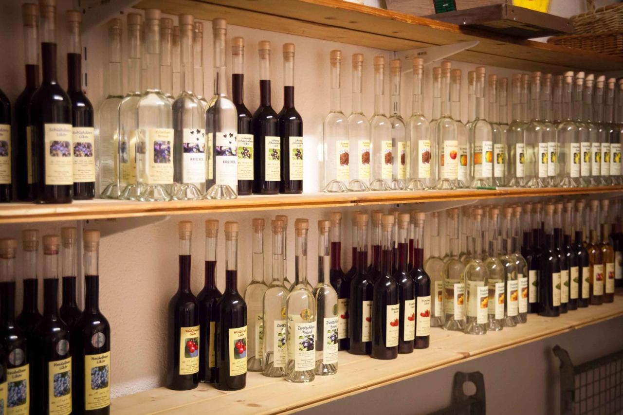 Weinbau Pronegg Vlg. Krainz Διαμέρισμα Leutschach Εξωτερικό φωτογραφία