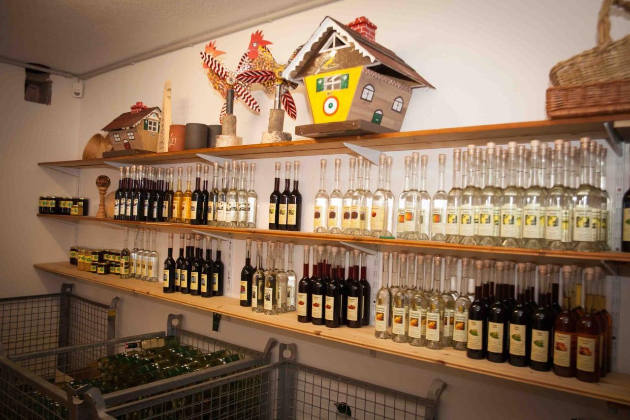 Weinbau Pronegg Vlg. Krainz Διαμέρισμα Leutschach Εξωτερικό φωτογραφία