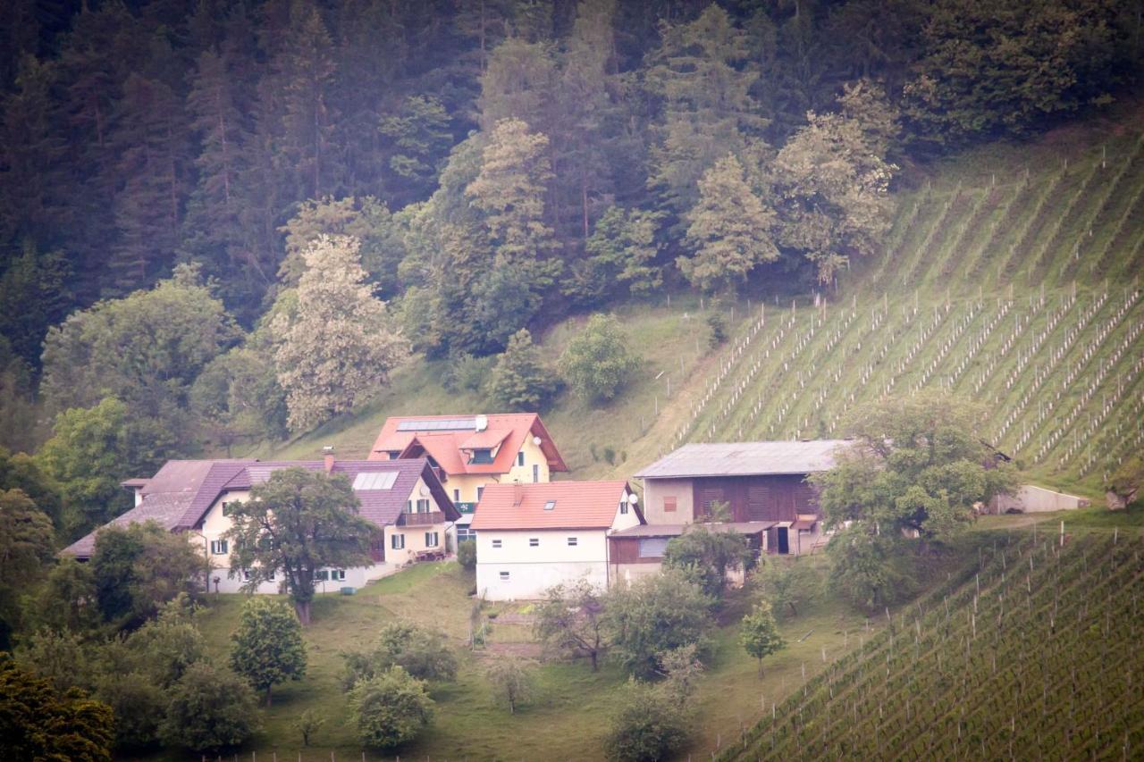 Weinbau Pronegg Vlg. Krainz Διαμέρισμα Leutschach Εξωτερικό φωτογραφία
